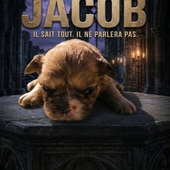 chiot Bouledogue francais Fluffy Fauve Merle Jacob Élevage de la famille dog étoilée
