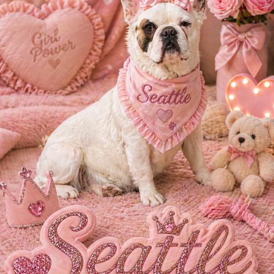 Seattle Élevage de la famille dog étoilée Femelle Bouledogue francais