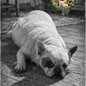 photostudio_1772362227487